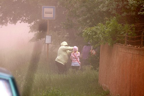 D__NL20120517013