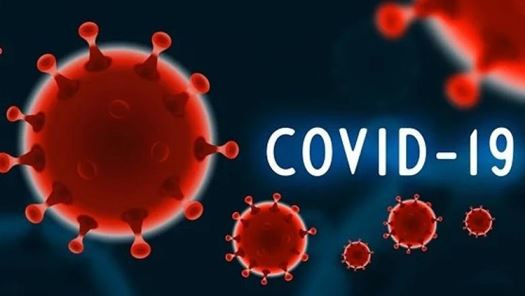 koronavirus 1