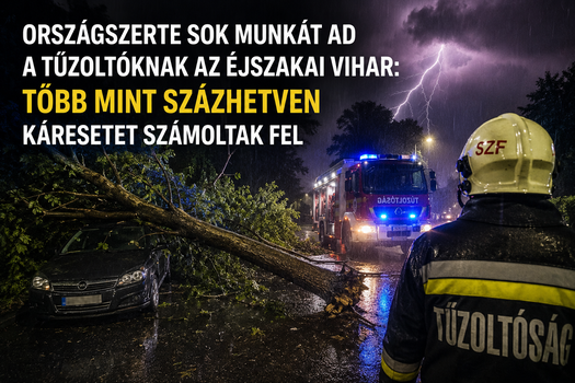da59fff6 1408 443d 96b9 6373d720c5b4