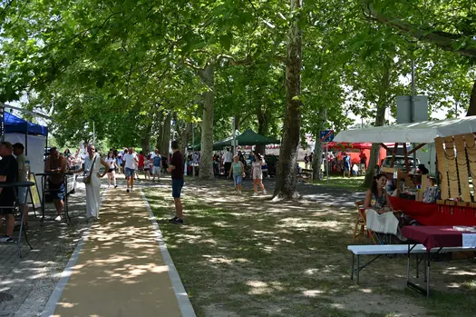 DSC 0109