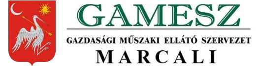 gamesz logo