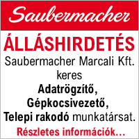 Saubermacher-állás