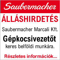 saubermacher-allas-gepkocsivezeto